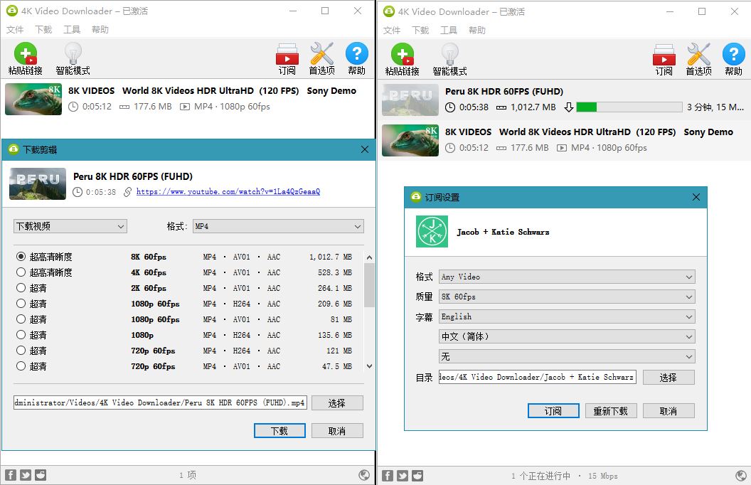 4K Video Downloader v4.30.0.5651-知忆屋
